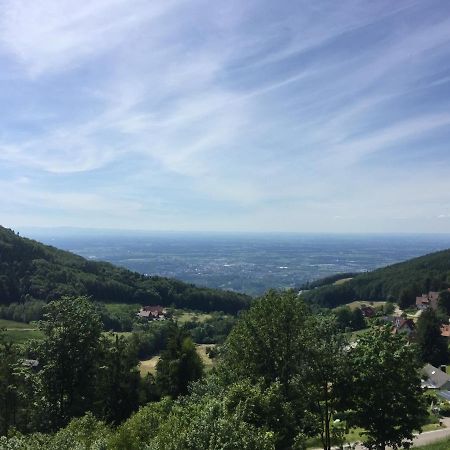 ザスバッハヴァルデンPanorama Pointアパートメント エクステリア 写真